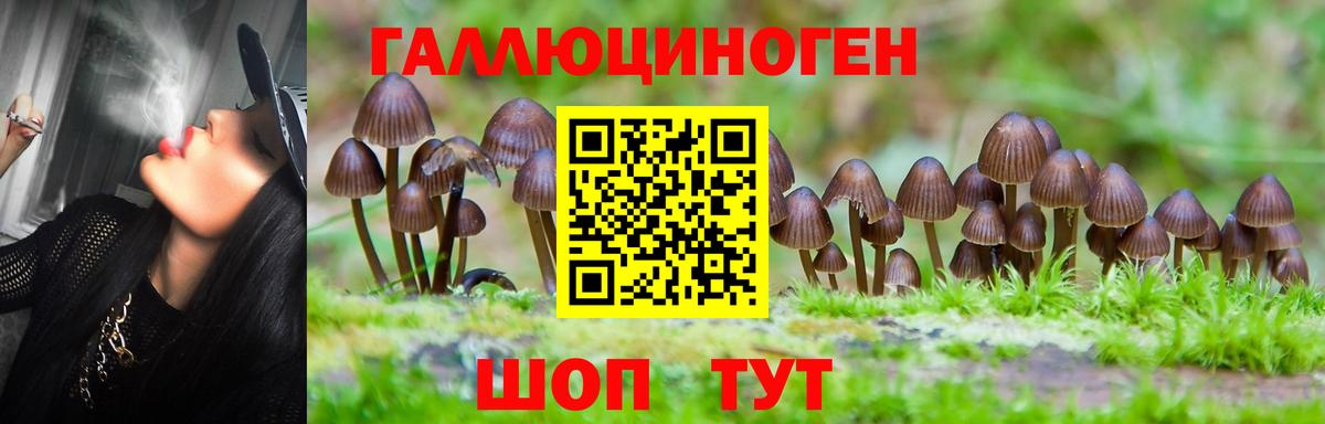 Галлюциногенные грибы Psilocybe  Вход с VPN  Чусовой 